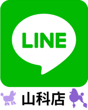 ドッグビューティーヒロ